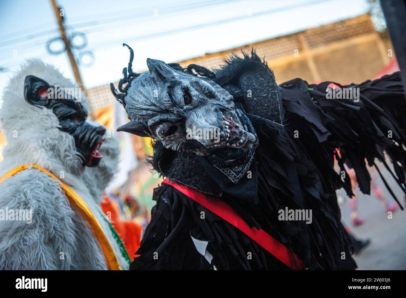 Barranquilla, Colombia. 11th Feb, 2024. People dressed as wolves take part during the carnival The Barranquilla Carnival is one of the most important folkloric festivals in Colombia, also one of the best-known carnivals in Latin America and an intangible cultural heritage of humanity proclaimed by UNESCO in 2003. It is a set of cultures, native, African and Spanish that is reflected in the dances, the masks, the floats, the dresses and the music. It attracts tourists from all over the world and international media attention. Credit: SOPA Images Limited/Alamy Live News Stock Photo