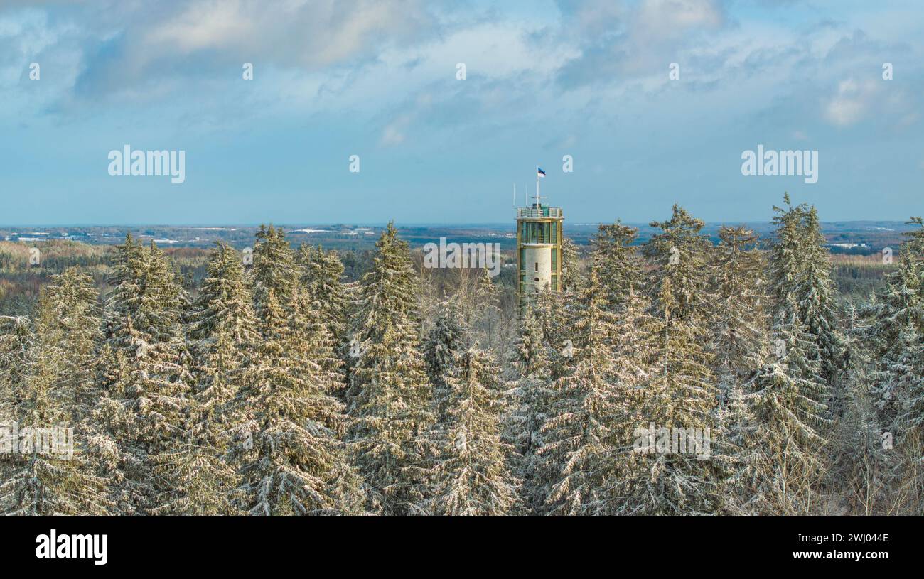 An aerial view of the wintertime snow-clad forested Suur-Munamagi hill with the watchtower and Estonian flag flying Stock Photo