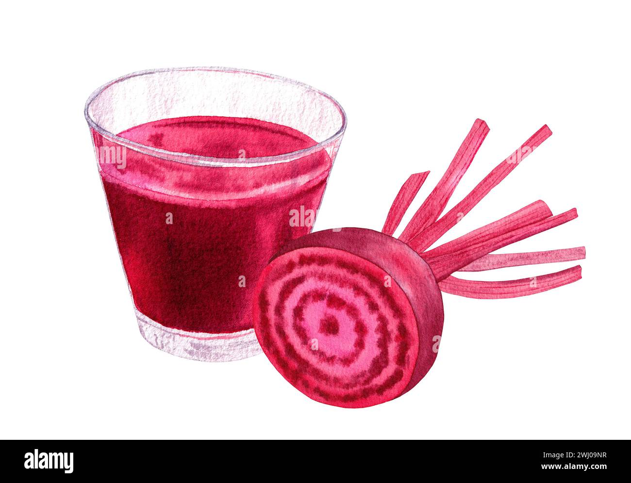 Healthy beet smoothie with beetroot. Watercolor hand drawn illustration ...
