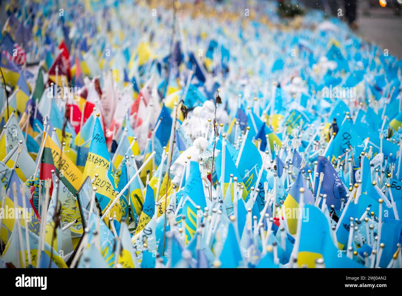 February 11 2024 Kyiv Kyiv City Ukraine Ukraine Flags For Fallen   February 11 2024 Kyiv Kyiv City Ukraine Ukraine Flags For Fallen Soldiers And Civilian Victims Of The Russian Full Scale Invasion Of Ukraine At The Independence Square Majdan Nesaleschnosti Quote These Flags Each Represent An Innocent Life Stolen By A Single Madman Vladimir Putin Credit Image Andreas Strohzuma Press Wire Editorial Usage Only! Not For Commercial Usage! 2WJ0AN2 