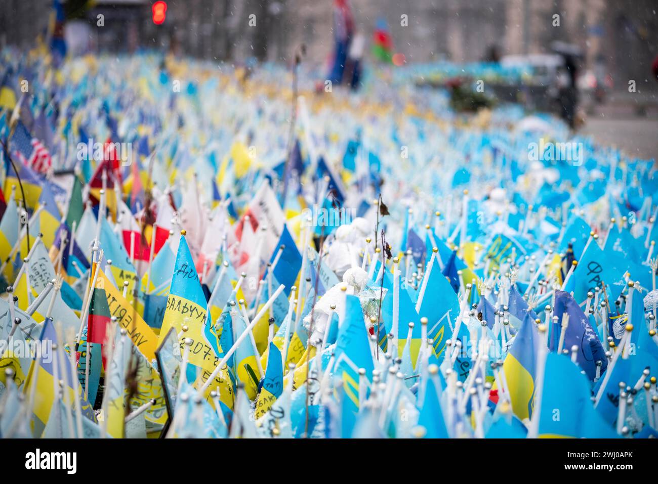 February 11, 2024, Kyiv, Kyiv City, Ukraine: Ukraine flags for fallen ...