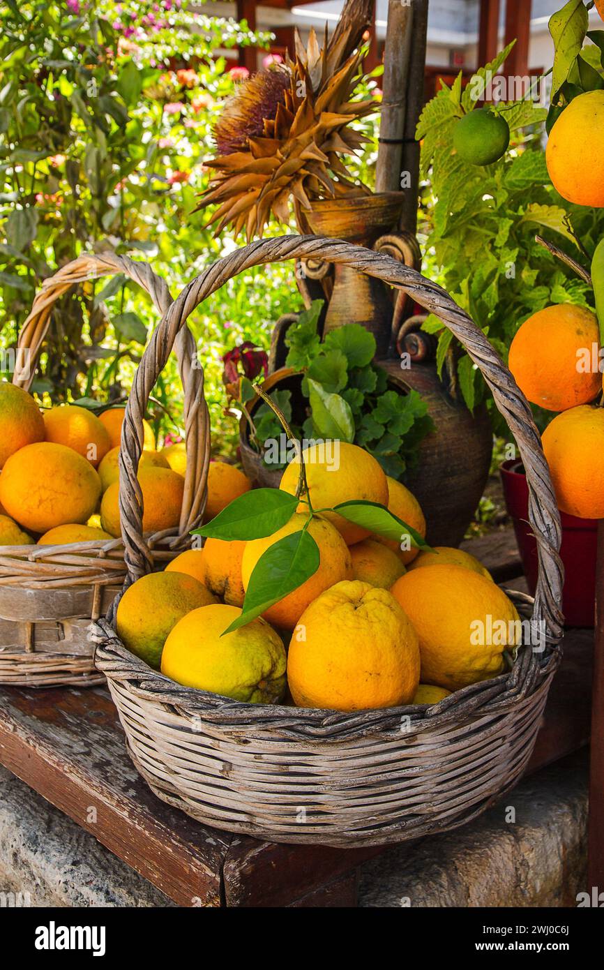 Full basket with ripe oranges Stock Photo