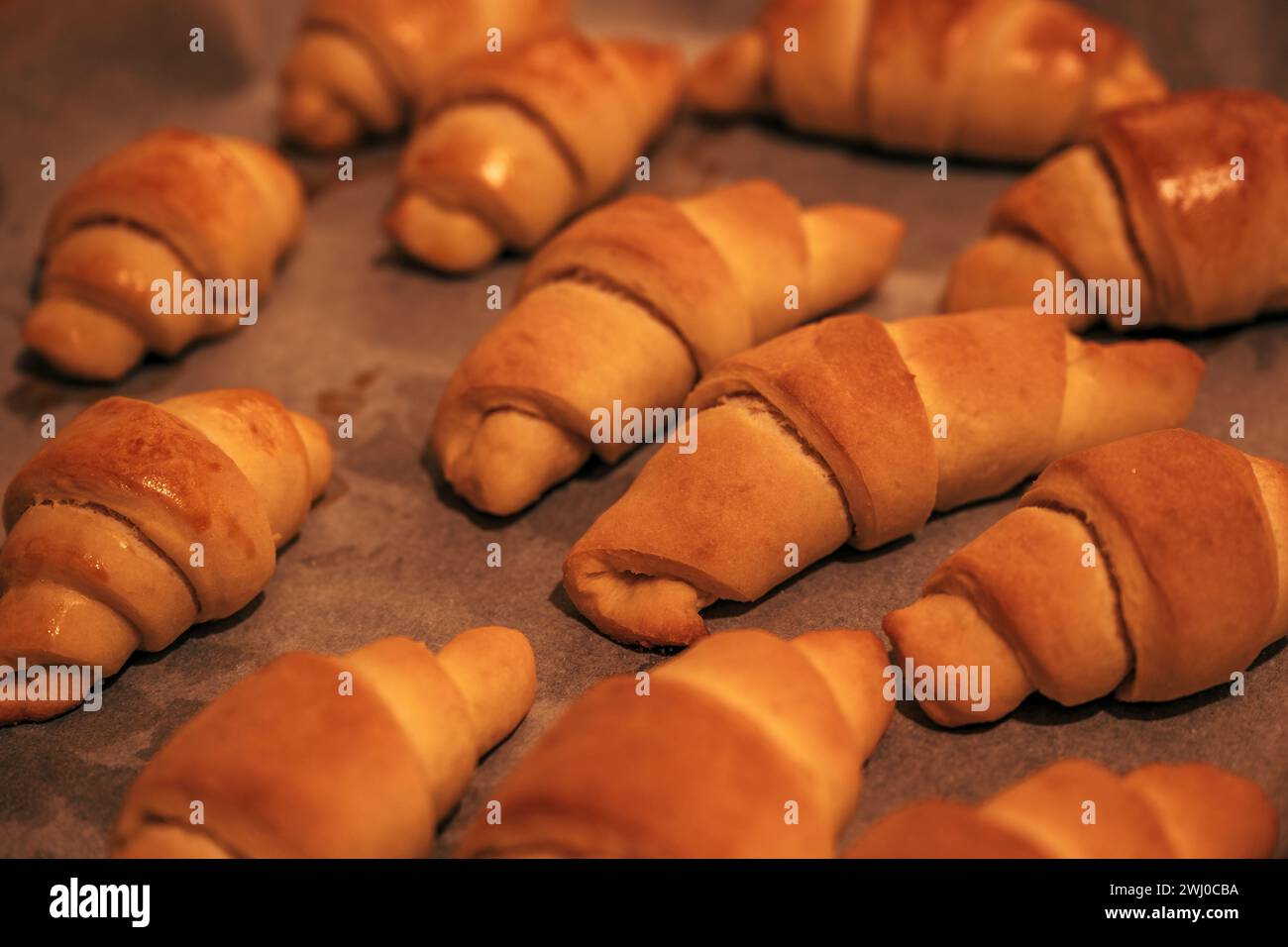 Homemade croissants on a plate after baking, selective focus Stock Photo