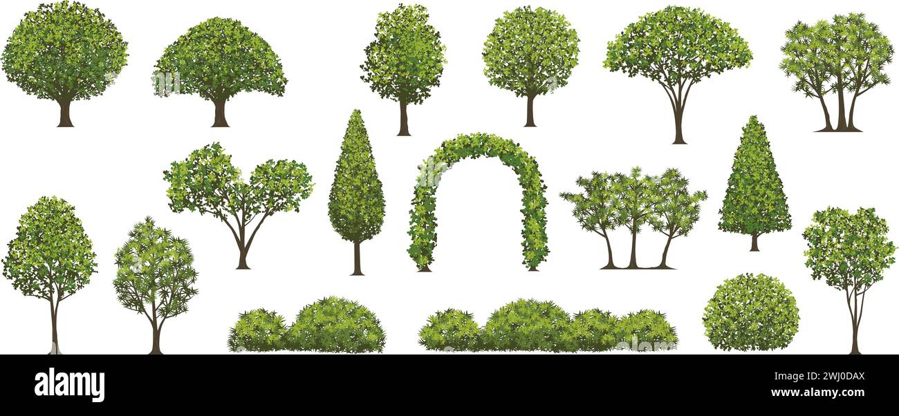 Trees And Shrubs Vector Illustration Set Isolated On A White Background. Stock Vector