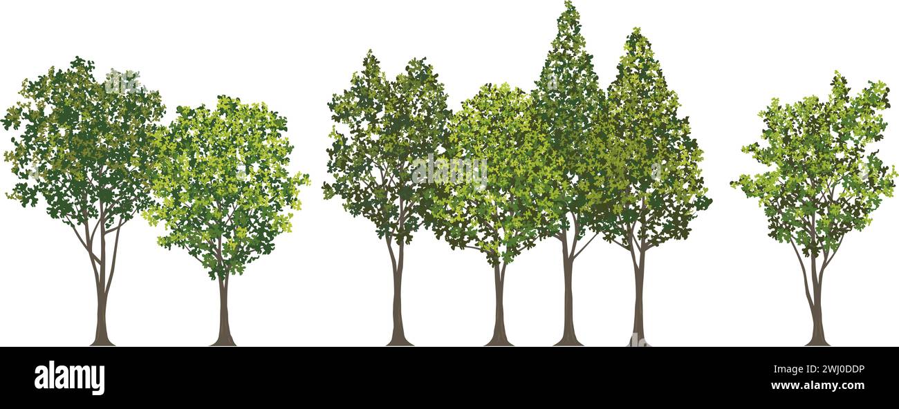 Green Trees And Shrubs Vector Illustration Set Isolated On A White Background. Stock Vector