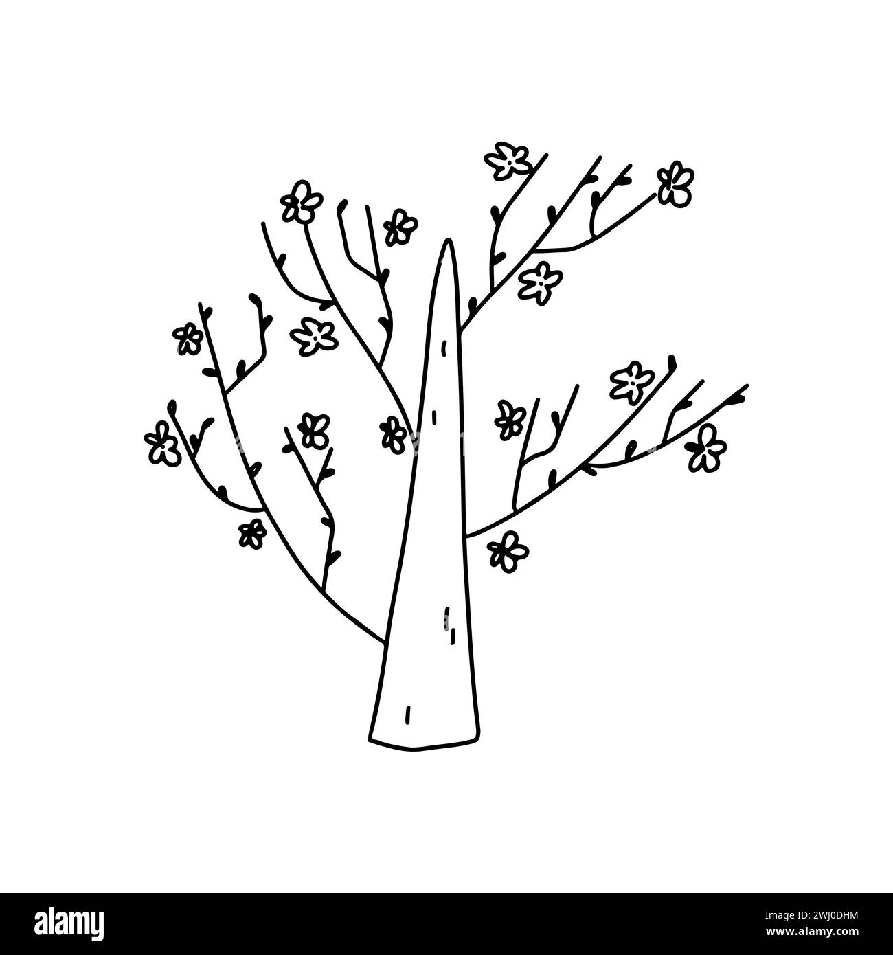 Spring tree Hand drawn doodle style Vector illustration isolated on Spring tree Hand drawn doodle style Vector illustration isolated on