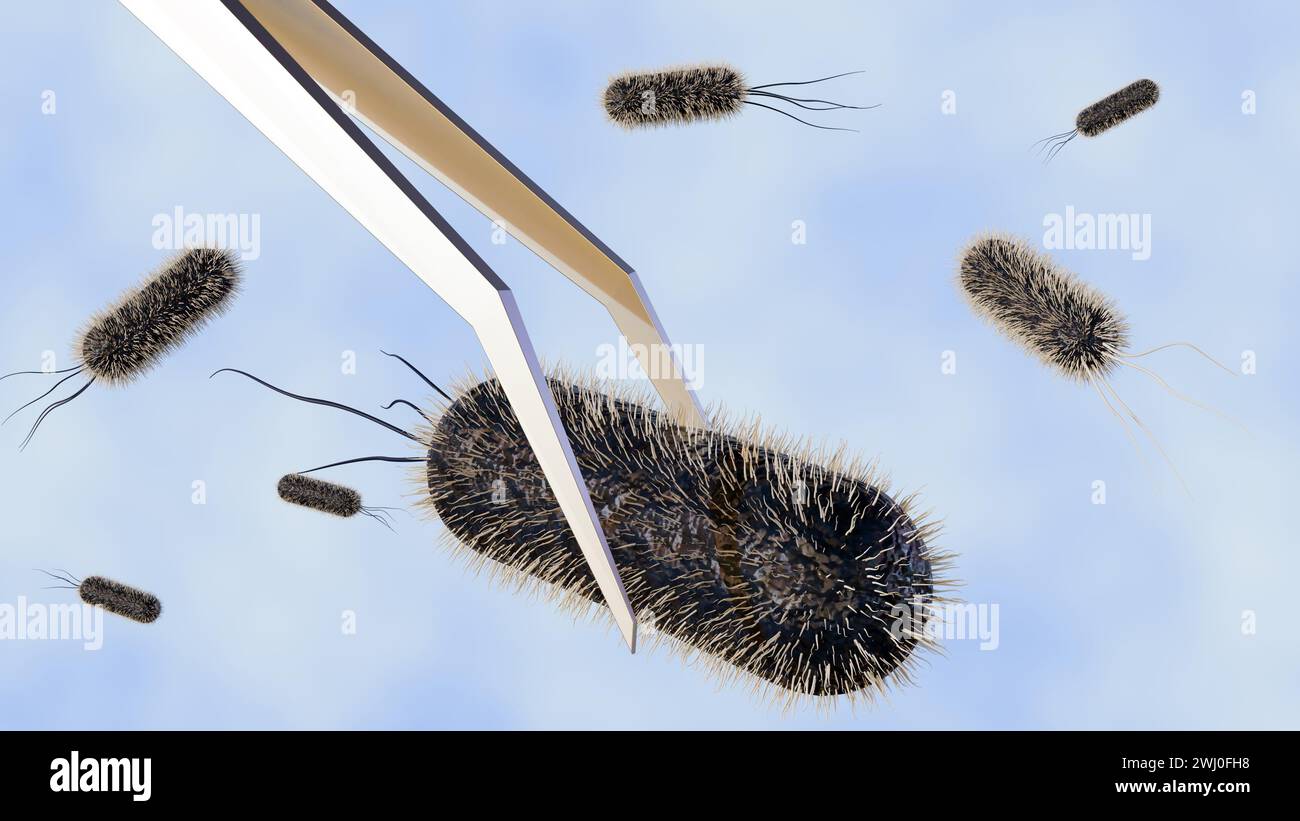 3d rendering of tweezers holding a large, rod-shaped bacterium. E. coli, a common bacterium that is often used in scientific research. Stock Photo