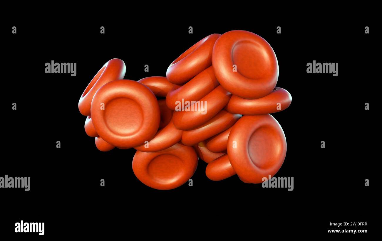 3d rendering of agglutination or hemagglutination, is an immune response when erythrocytes clump together. It occurs when erythrocytes encounter toxin Stock Photo