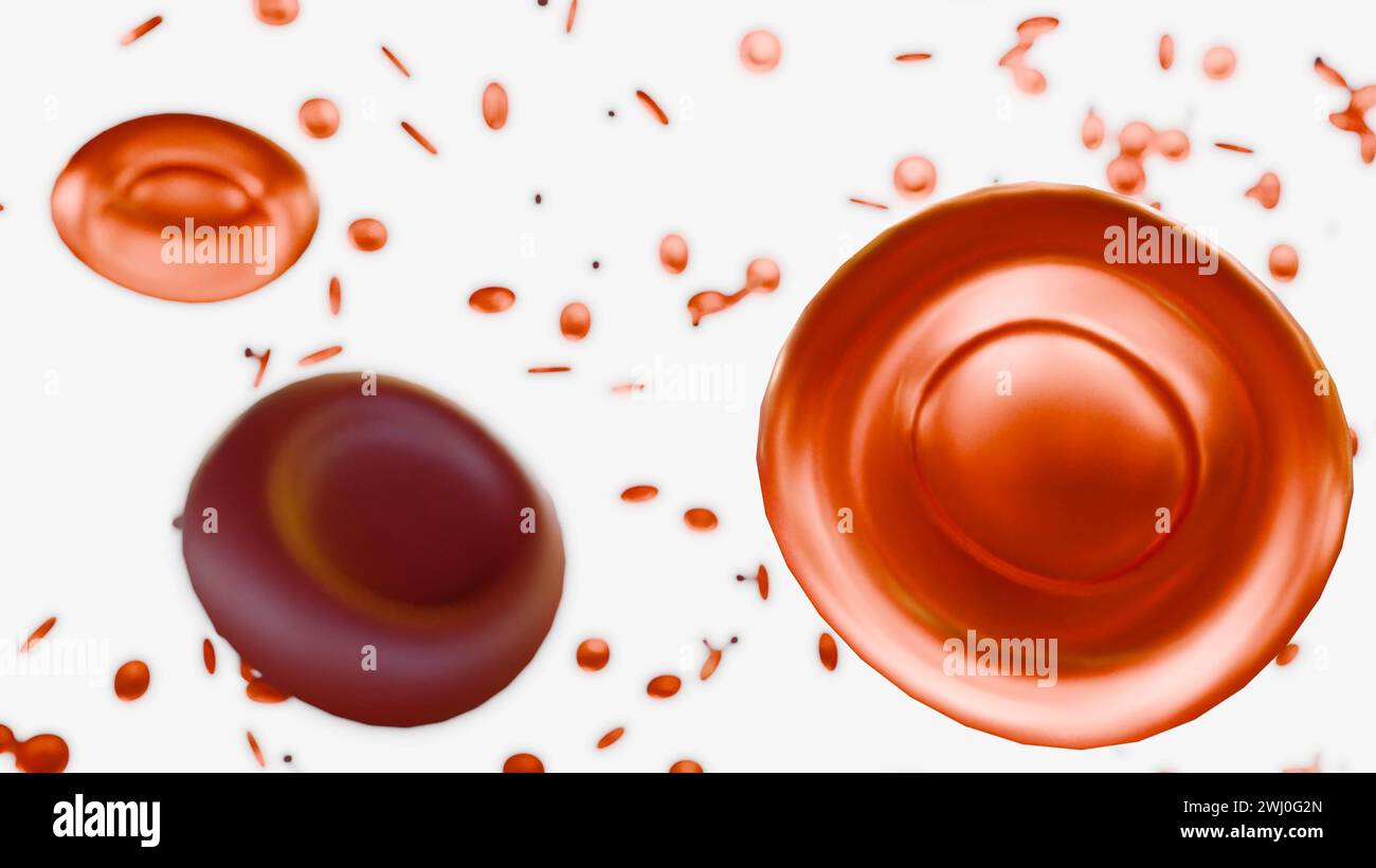 3d rendering of hypochromic red blood cells are red blood cells that have less color than normal when examined under a microscope. Stock Photo