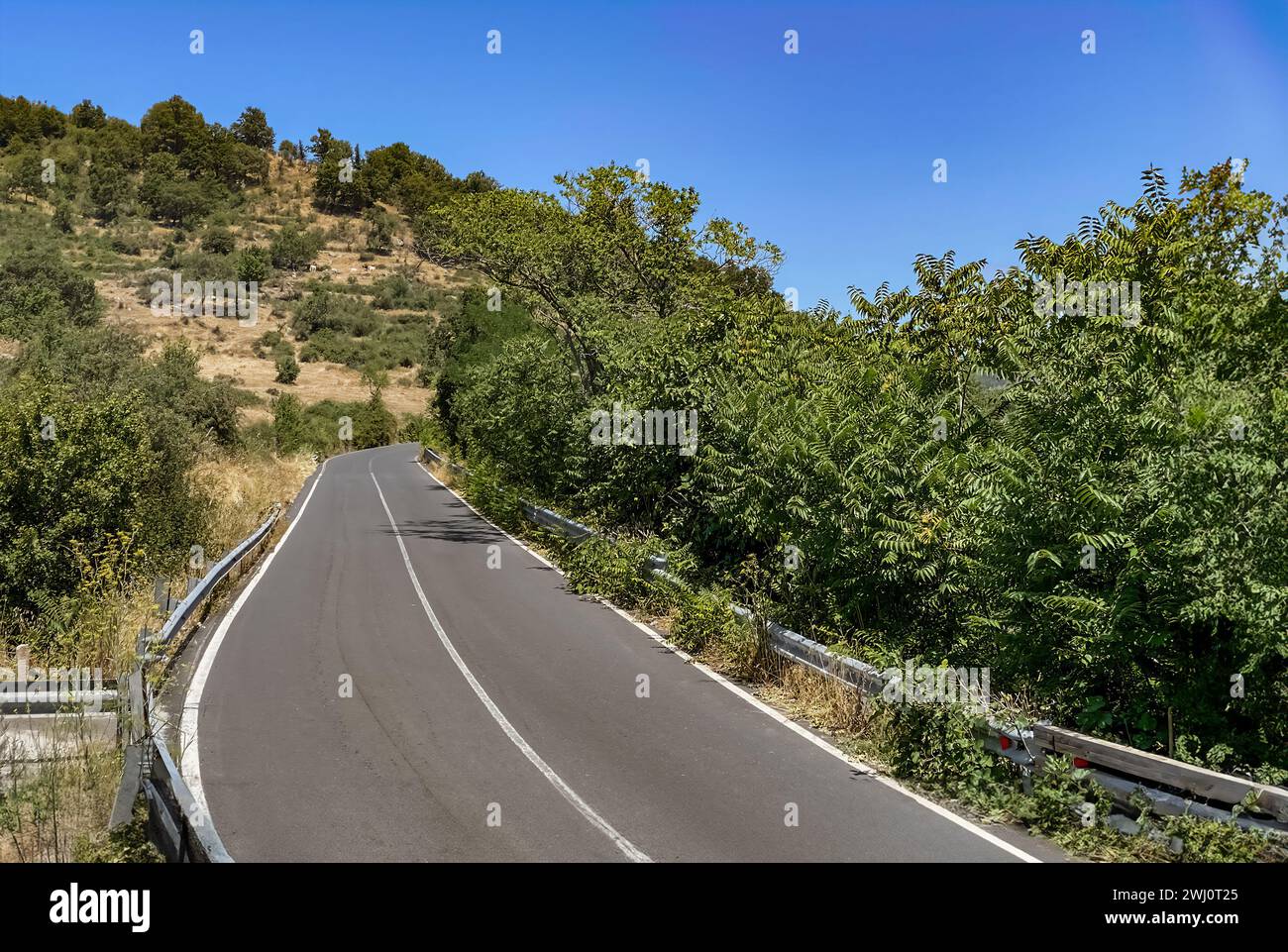 Blue sky greenery and road hi-res stock photography and images - Alamy