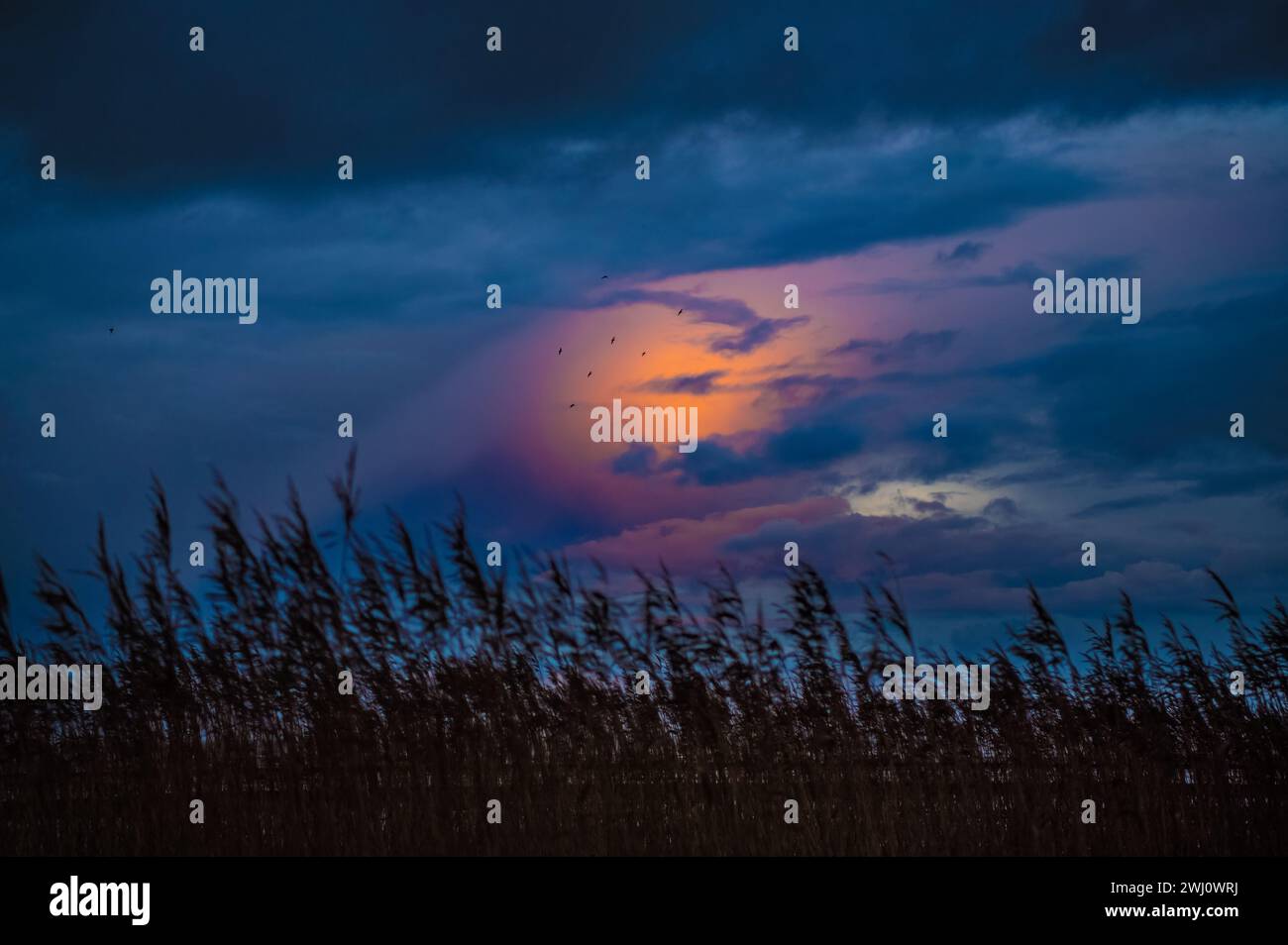 Weather northern lights over hi-res stock photography and images - Alamy