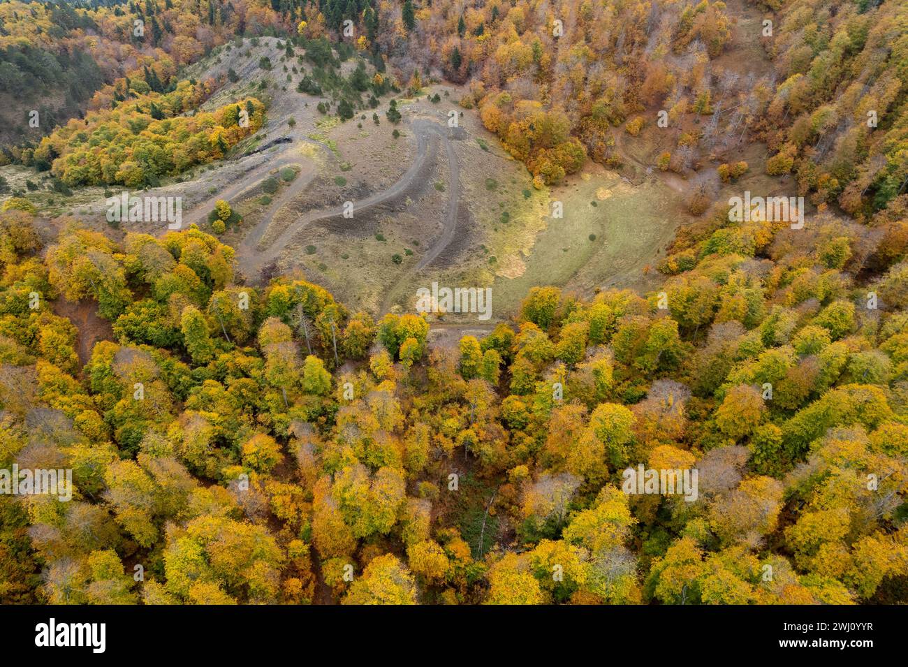 Aerial woodland fall road hi-res stock photography and images - Alamy