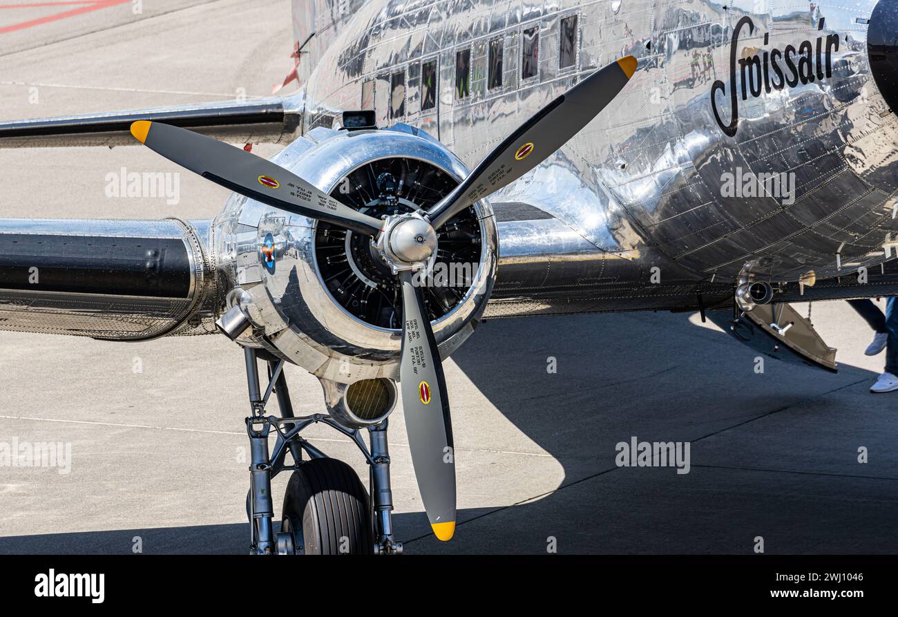 Bombardino Cocrodilo - Verrückte Meme-Figur Mit Krokodilkopf
