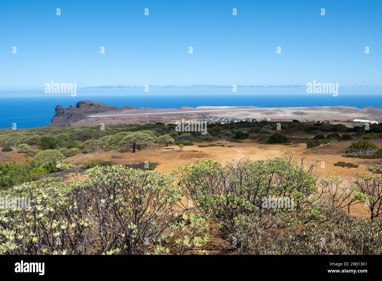 St helena boxwood hi-res stock photography and images - Alamy