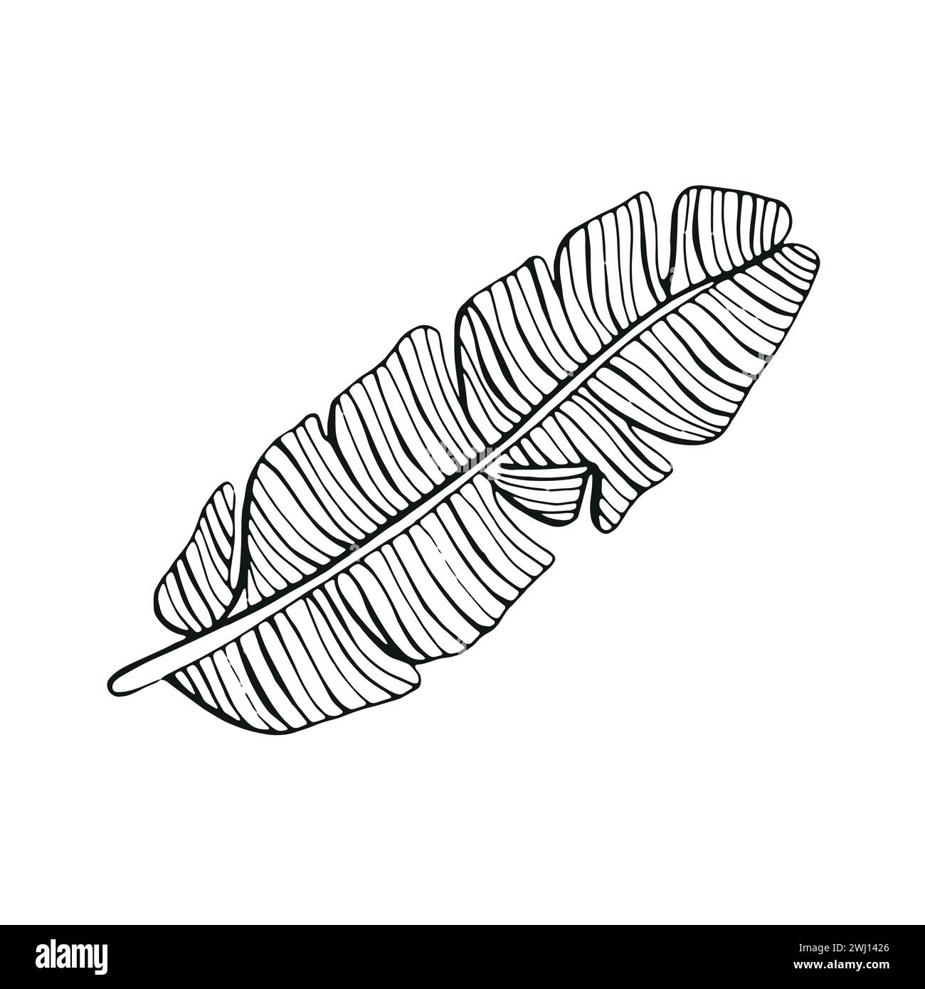 Thick white line Stock Vector Images Alamy