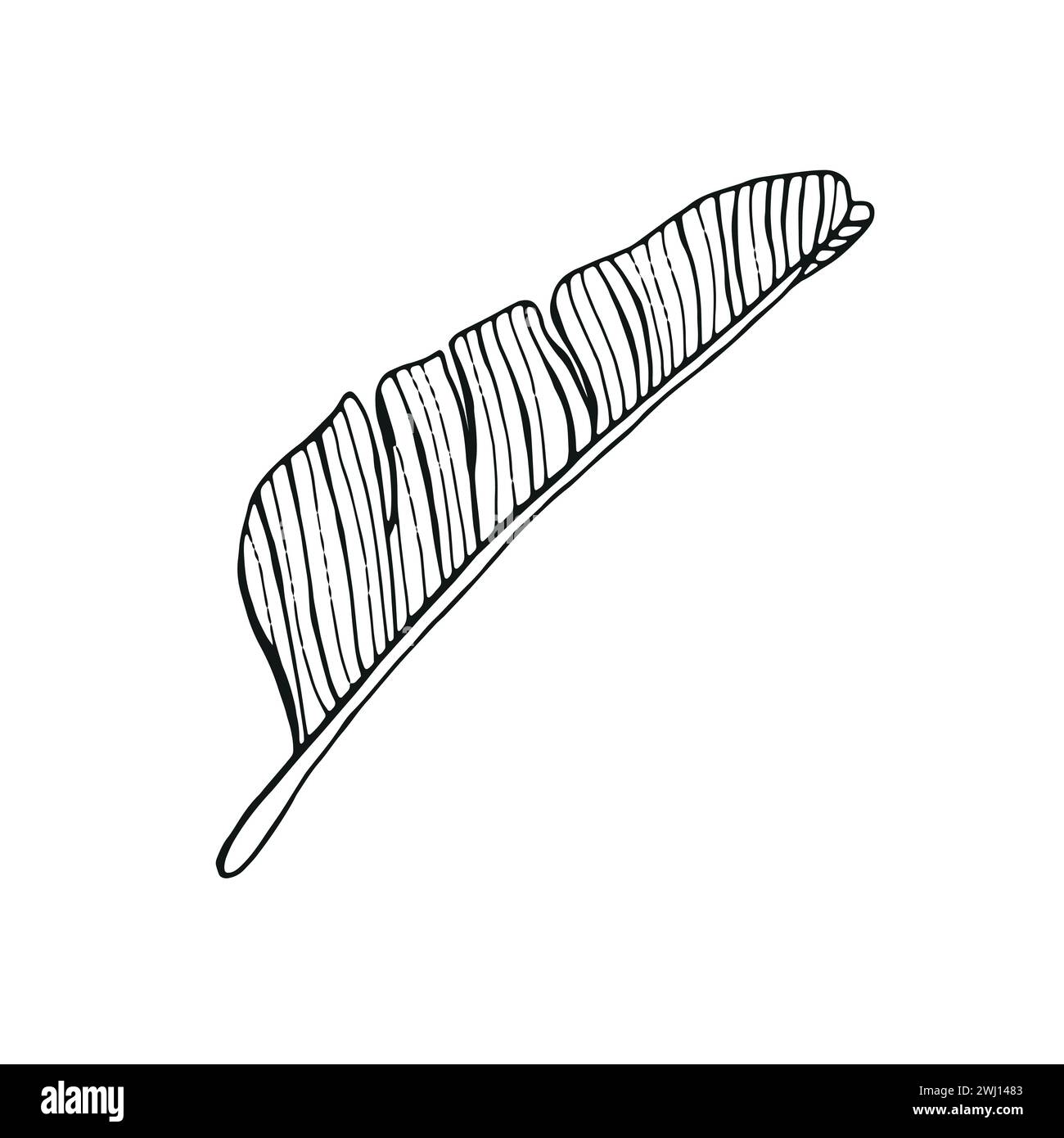 leaf line vector art in isolated white background Stock Vector