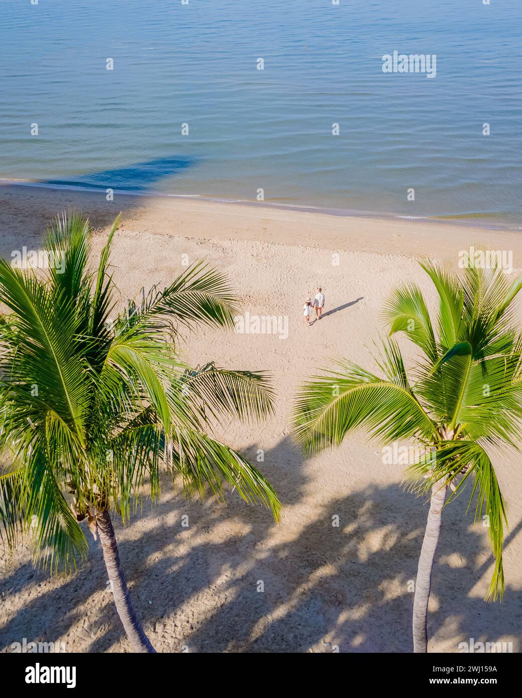 Drone beach palm trees hi-res stock photography and images - Alamy