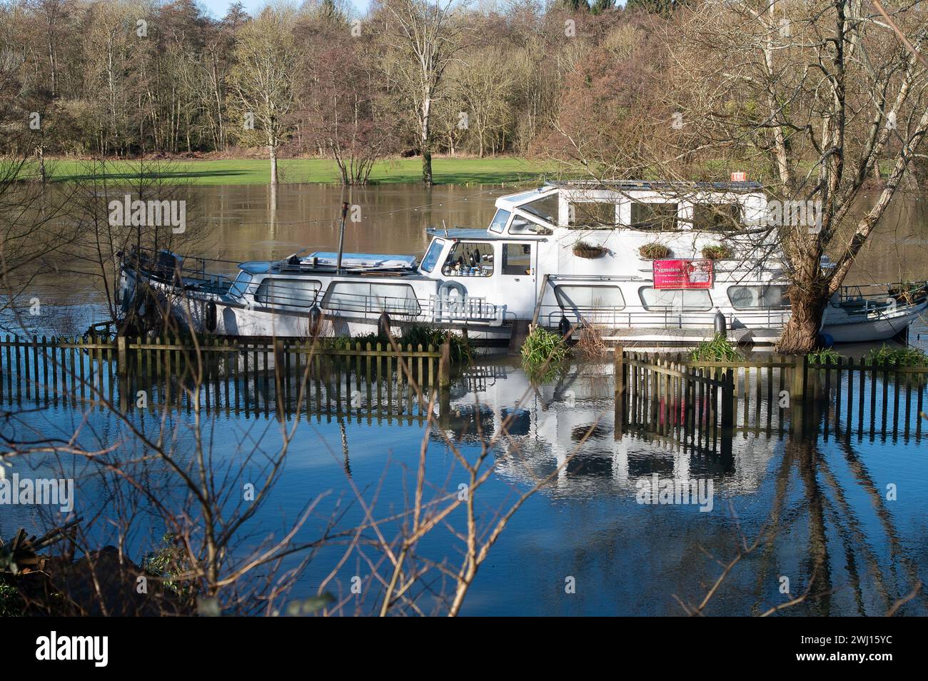The River Thames has burst its banks at Henley on Thames in Oxfordshire. A Flood Warning is in place for the River Thames for Henley, Remenham and Medmenham. Property flooding is expected and river levels are expected to continue to rise Stock Photo