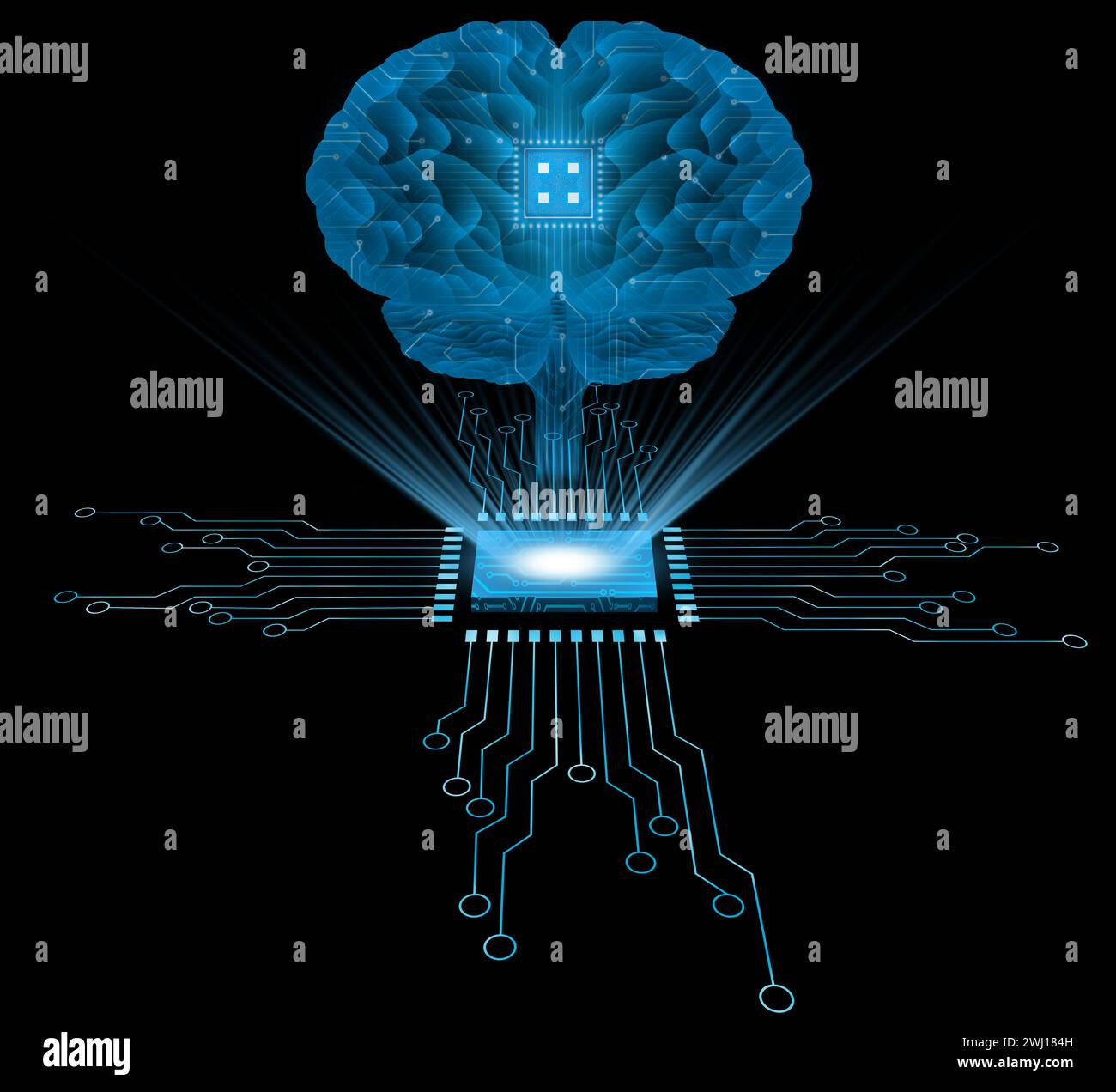 microchip with spot light hologram or holographic artificial intelligence concept. human brain blue futuristic design Stock Photo