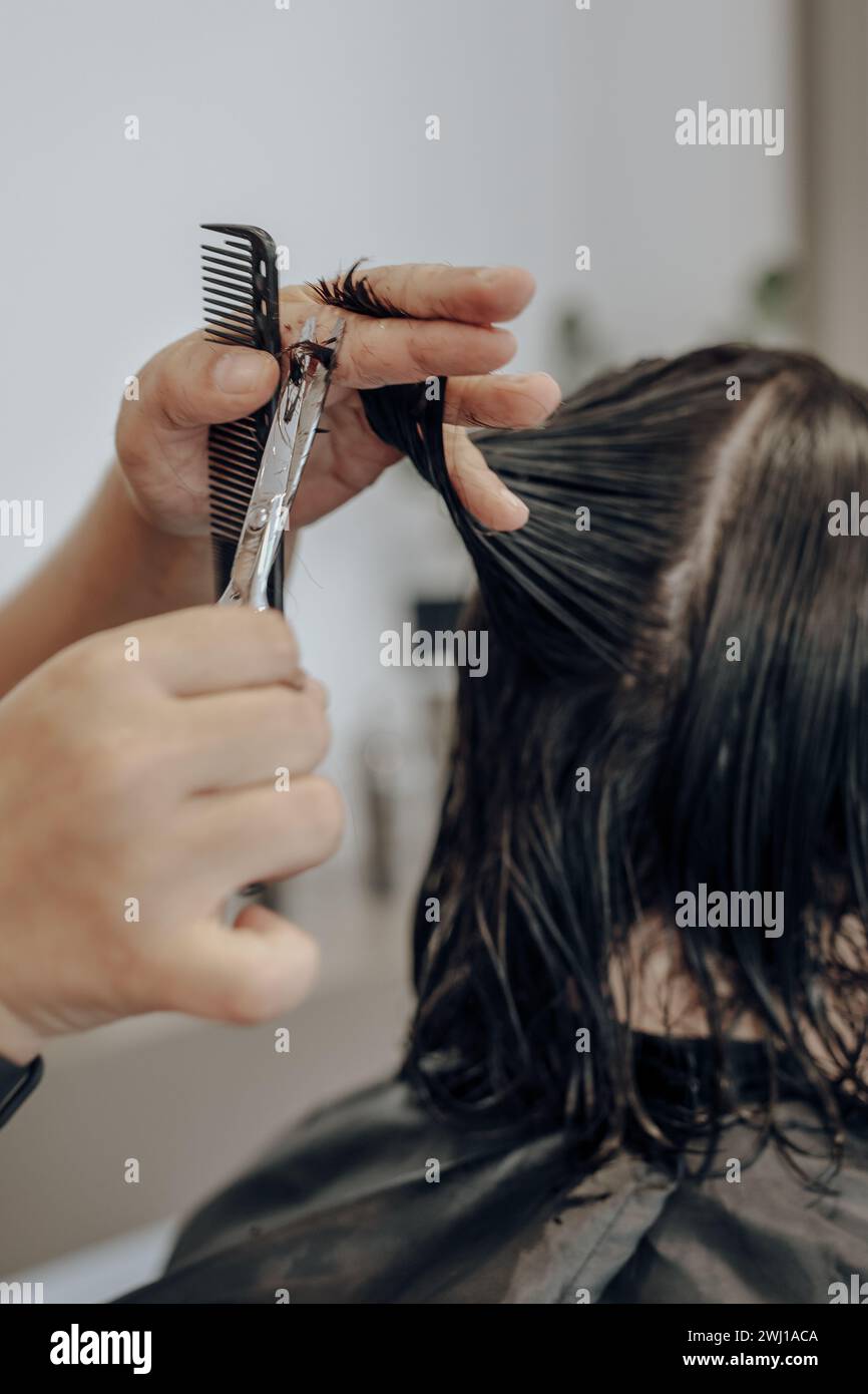 Closeup of hairdresser's hands cutting wet hair with scissors and comb Stock Photo Alamy