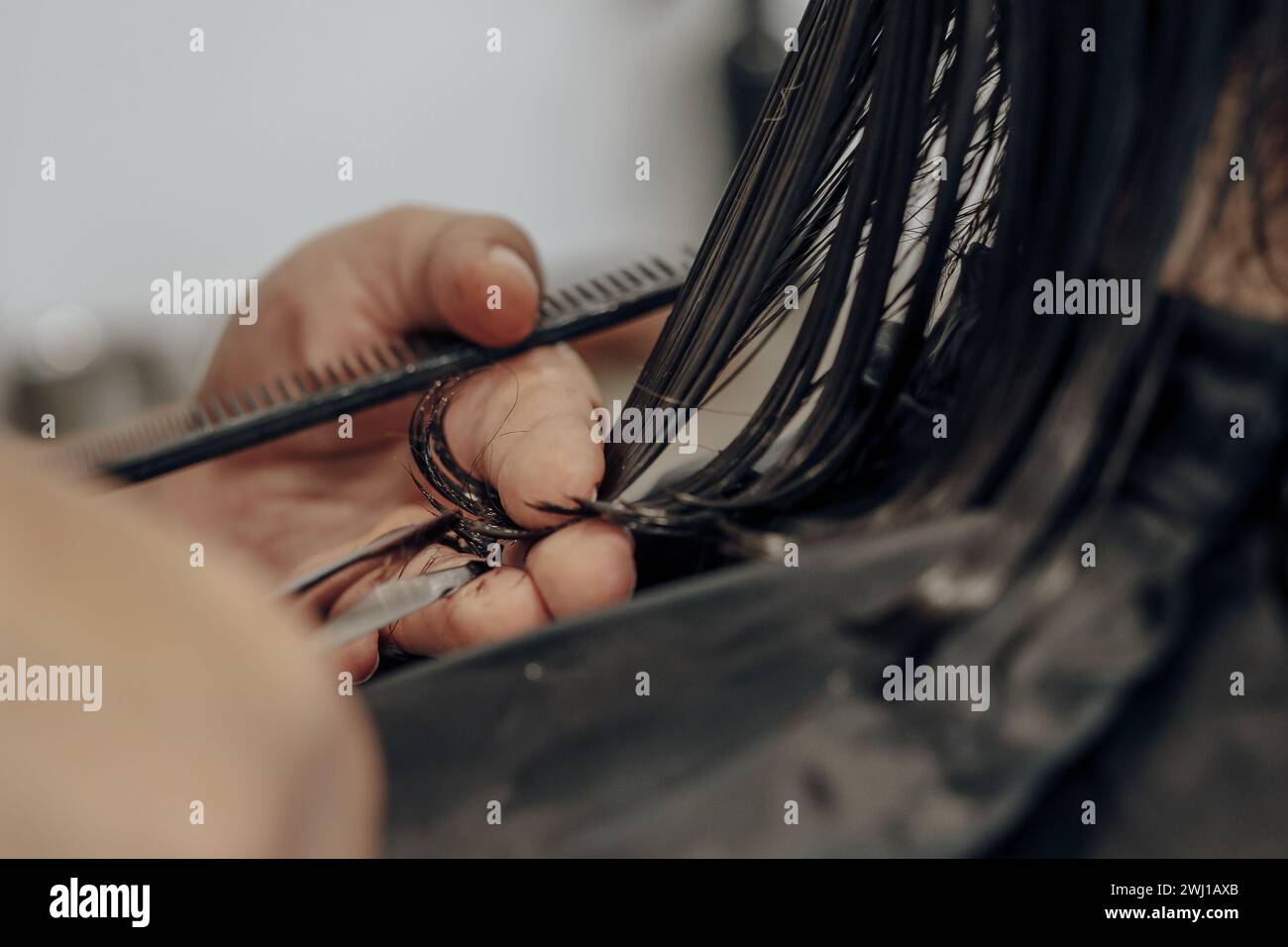 Closeup of hairdresser's hands cutting wet hair with scissors and comb