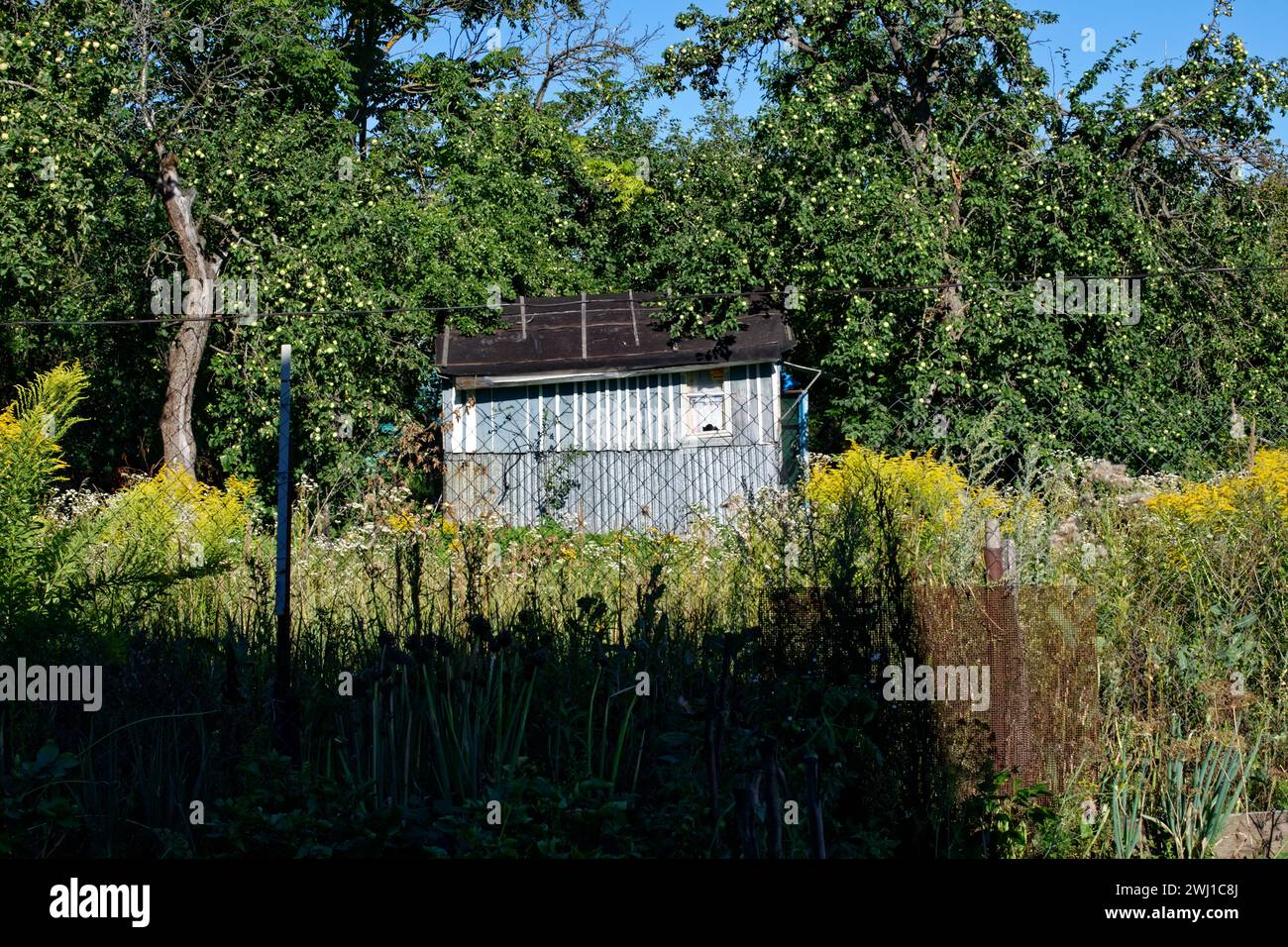 Small building in the garden in the village, in summer Stock Photo