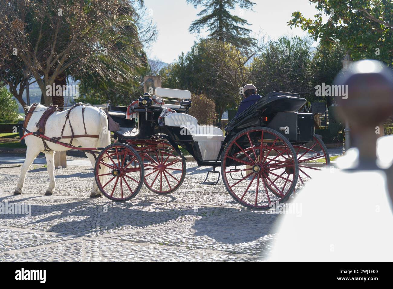 Famous horse drawn carriage hi-res stock photography and images - Alamy