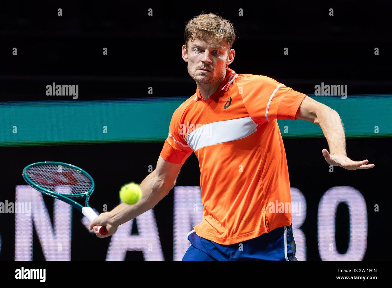 ROTTERDAM, NETHERLANDS FEBRUARY 12 David Goffin of Belgium during