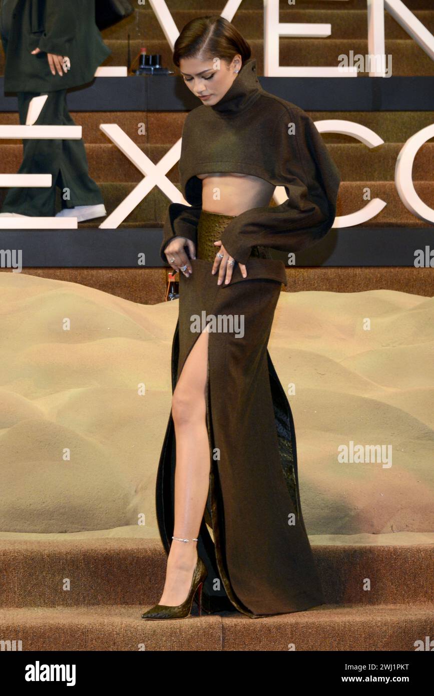Red carpet of the Fan Event for the film 'Dune: Part Two' at Auditorio