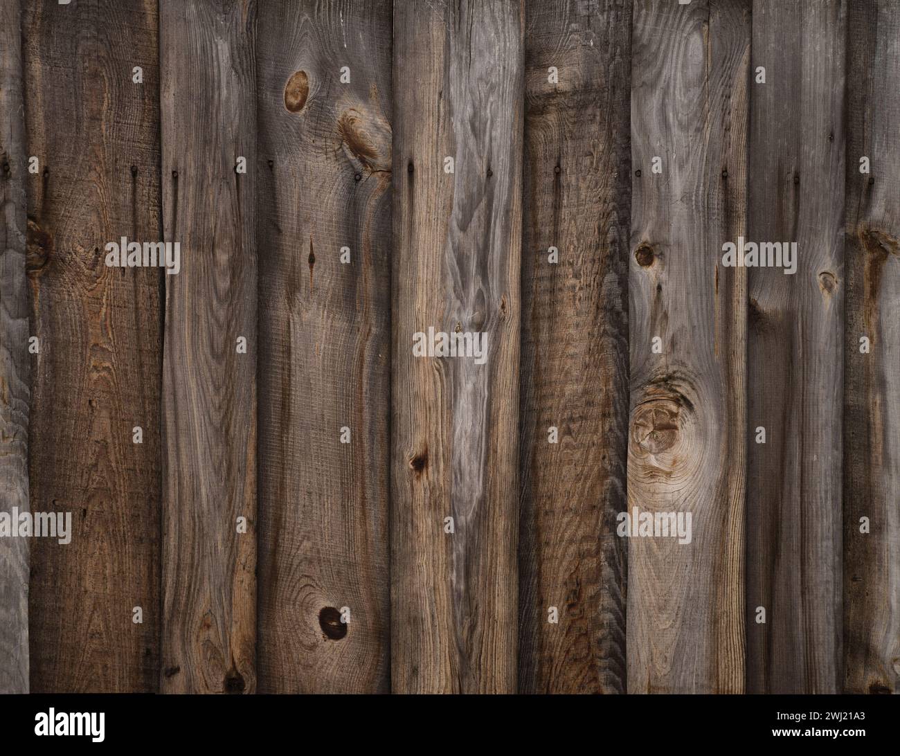 Brown wood texture. Background old panels Stock Photo