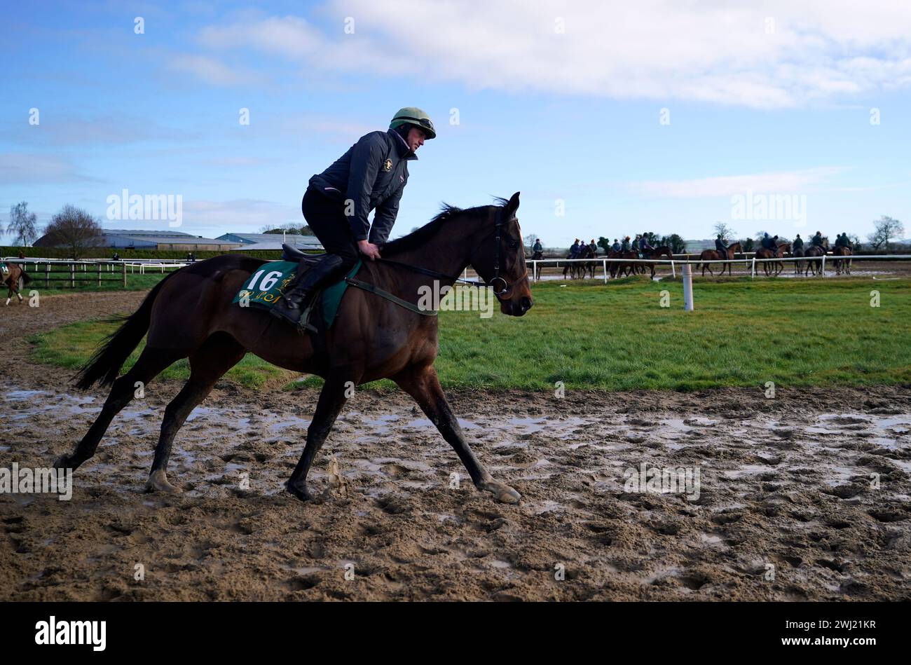 Fact To File during a media day at Willie Mullins' yard in Closutton, Ireland, ahead of the 2024 Cheltenham Festival in March. Picture date: Monday February 12, 2024. Stock Photo