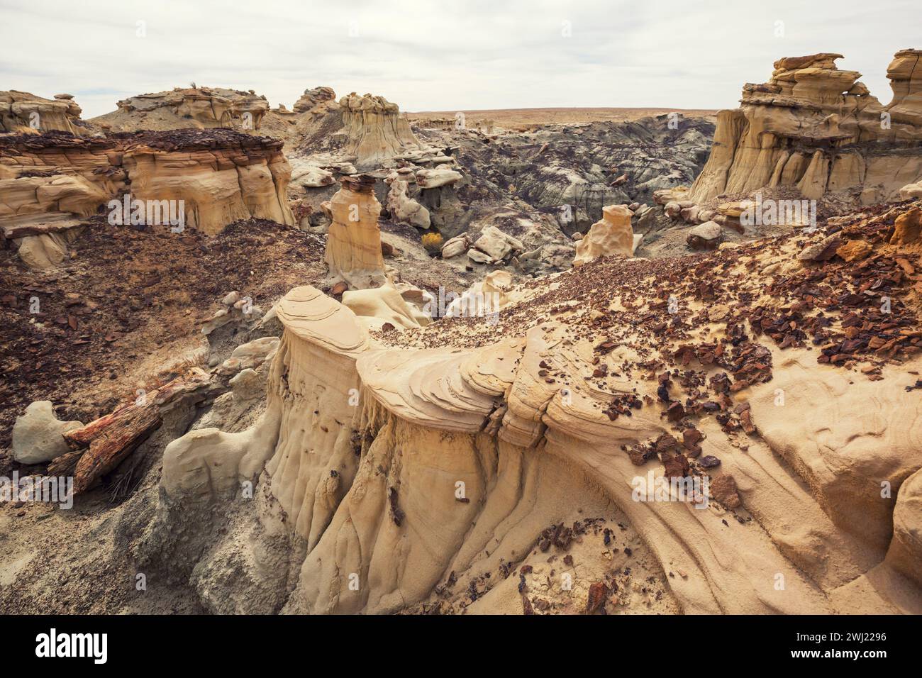The bizarre landscape of the Bisti Badlands or De-Na-Zin Wilderness in 