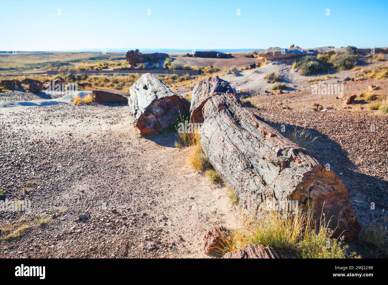 Fossil ridge wilderness hi-res stock photography and images - Alamy