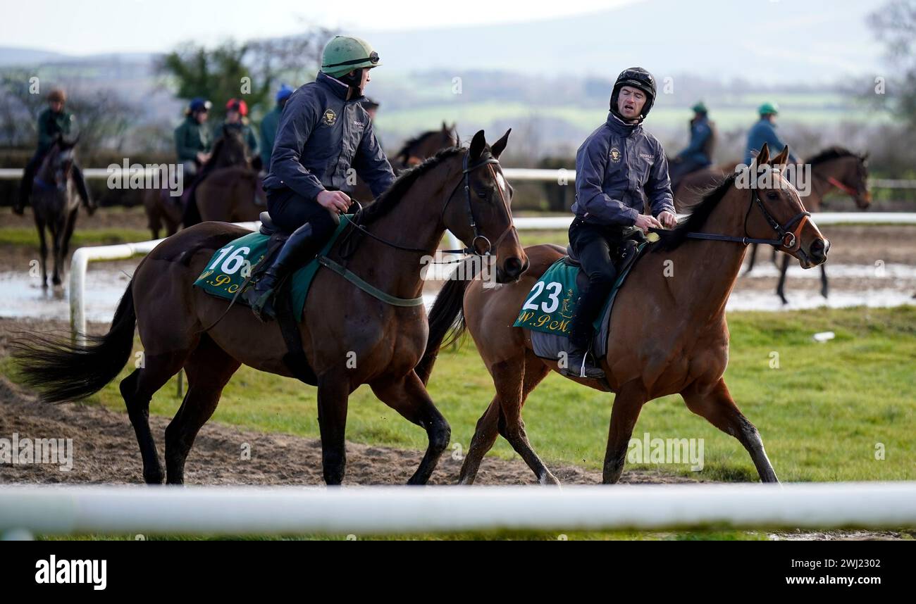 Fact To File and Patrick Mullins on Facile Vega (right) during a media day at Willie Mullins' yard in Closutton, Ireland, ahead of the 2024 Cheltenham Festival in March. Picture date: Monday February 12, 2024. Stock Photo