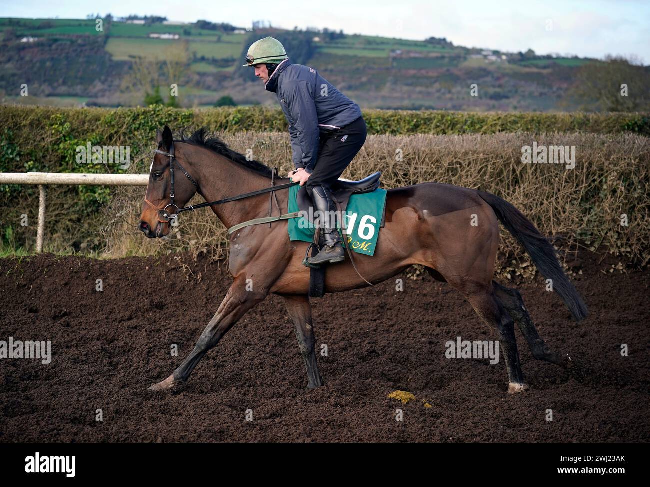 Fact To File during a media day at Willie Mullins' yard in Closutton, Ireland, ahead of the 2024 Cheltenham Festival in March. Picture date: Monday February 12, 2024. Stock Photo