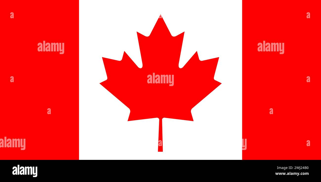 Flag of Canada. Canadian flag with red maple leaf on white background. Canadian national flag. Canad Stock Photo