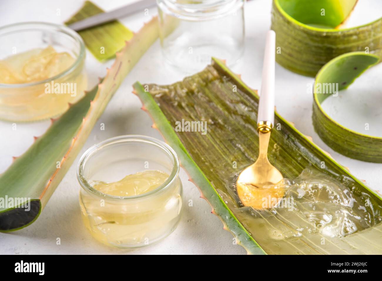 Aloe Vera Making - Homemade Organic Raw Aloe Vera Cosmetics, Drinks and ...