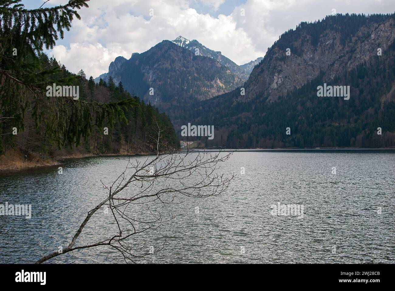 Plansee Österreich Stock Photo