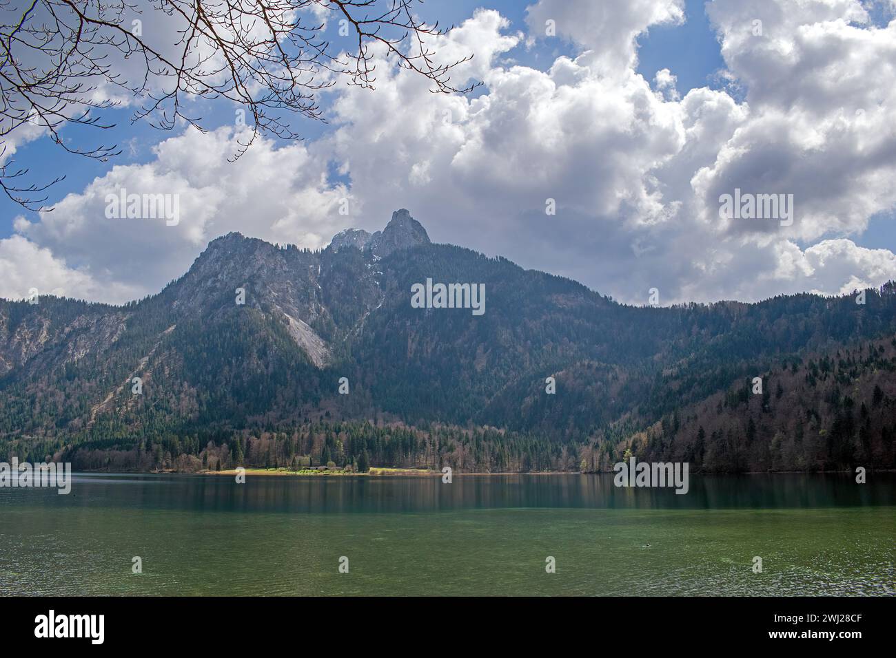 Plansee Österreich Stock Photo