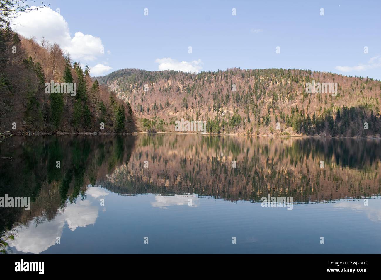 Plansee Österreich Stock Photo