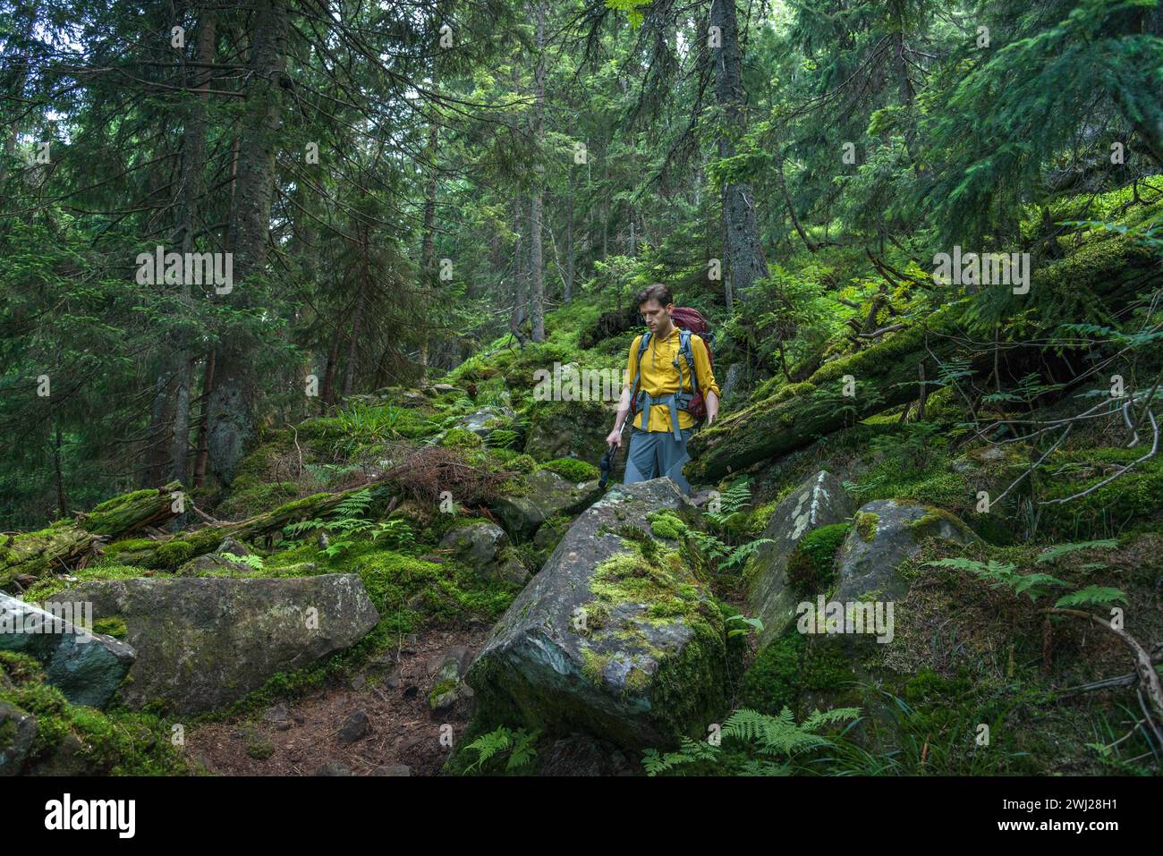 Young Man in Mountain Forest Enjoying Hiking During the Weekend Stock Photo