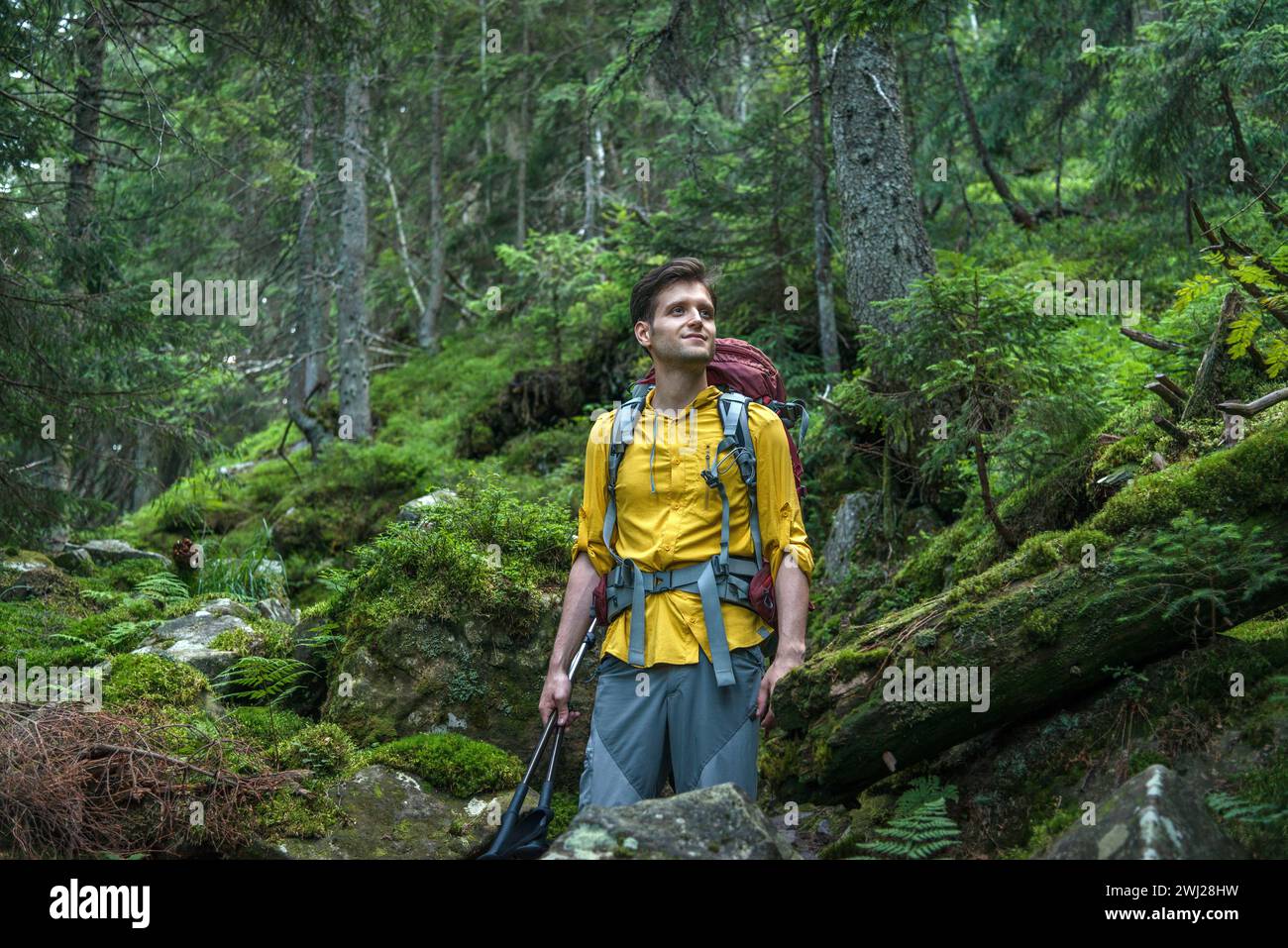 Portrait of Man in Mountain Forest Enjoying Hiking During the Weekend Stock Photo