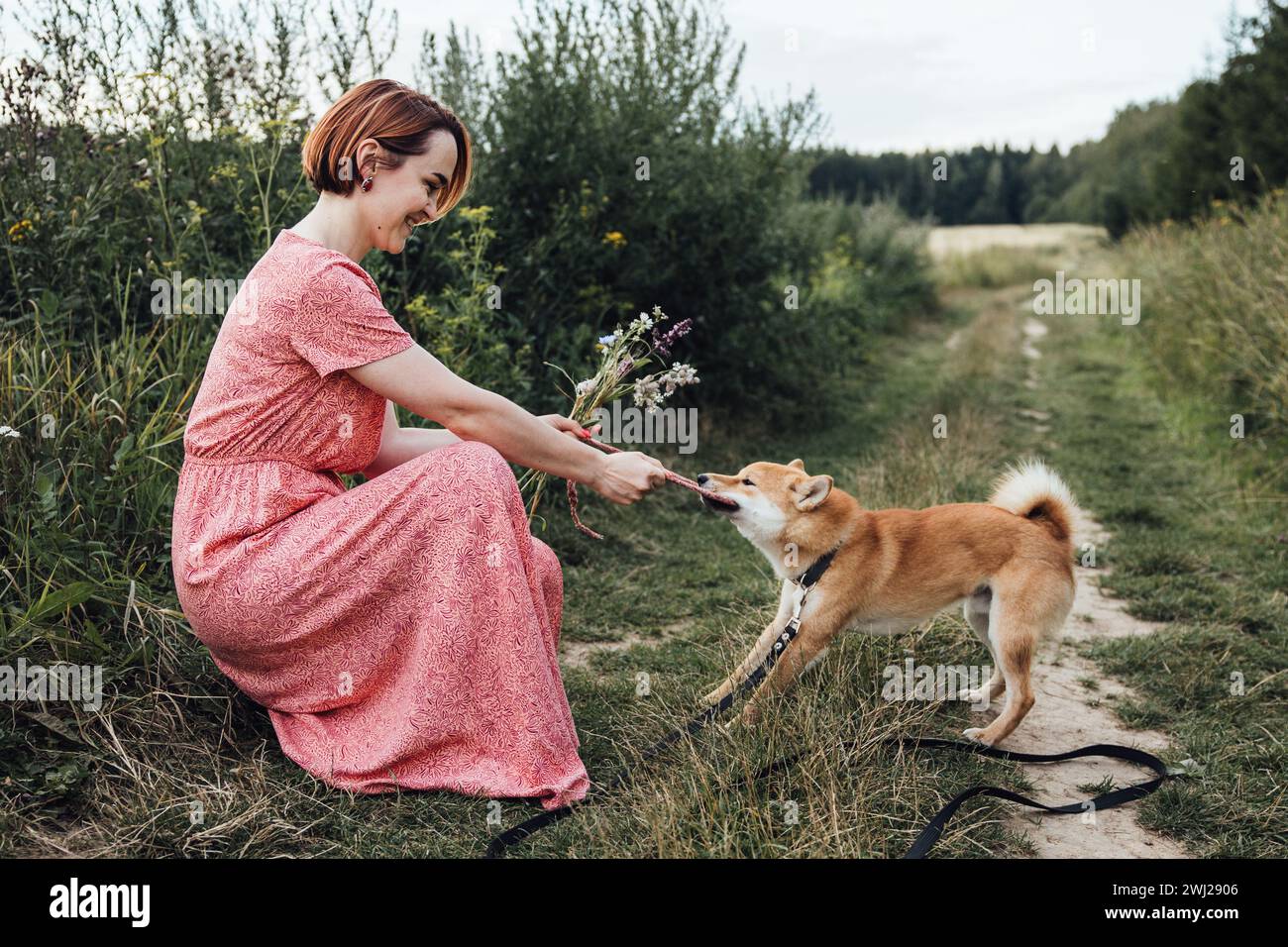 A girl plays with a dog in nature in the summer Stock Photo - Alamy