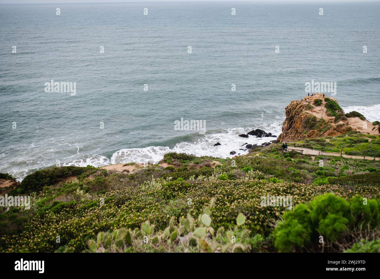 Coastal cliff and ocean waves Stock Photo