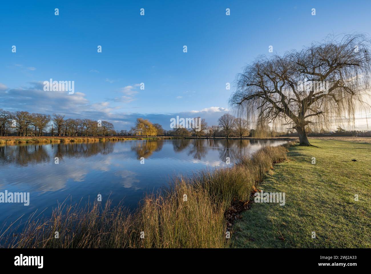 Morning sky reflection over Leg of Mutton pond in Bushy Park Surrey UK Stock Photo