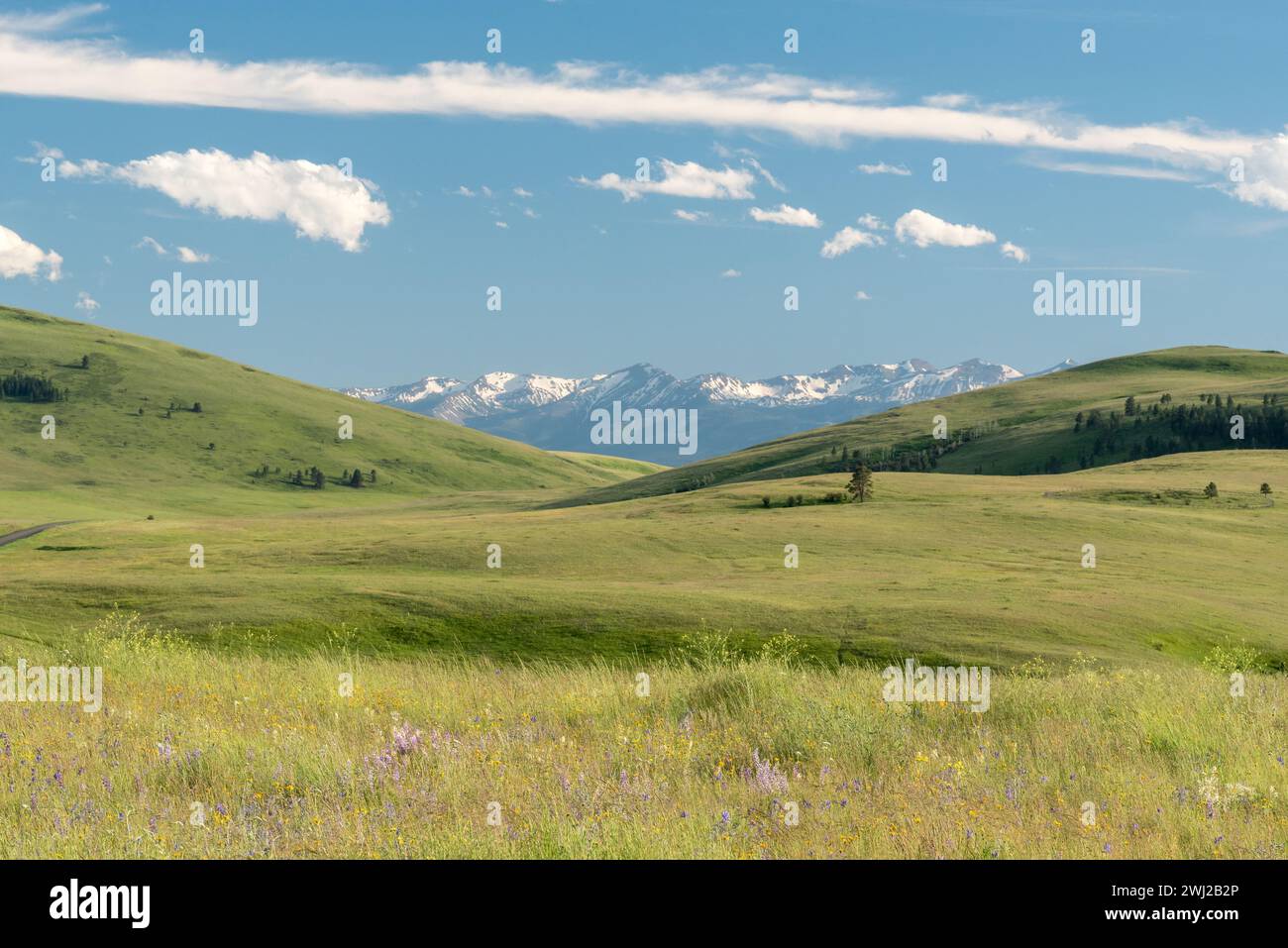 Oregon Prairie Zumwalt Prairie and the Wallowa Mountains in Northeast Oregon Stock ...