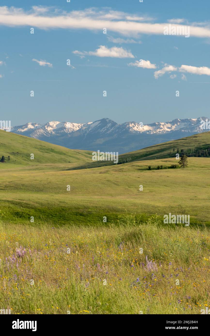 Oregon Prairie Prairie grassland zumwalt prairie preserve hi-res stock photography and ...