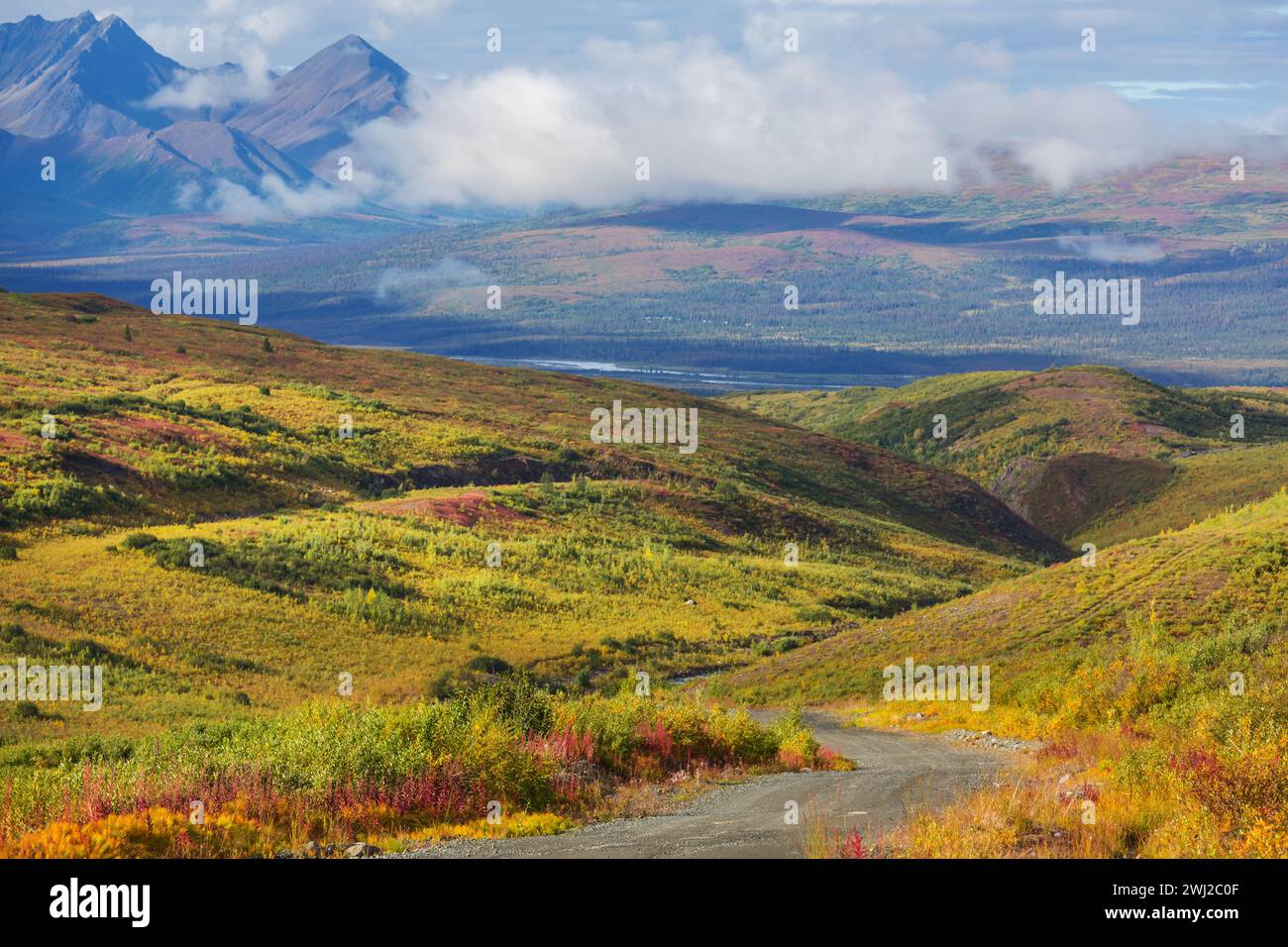 Pristine natural landscapes hi-res stock photography and images - Alamy