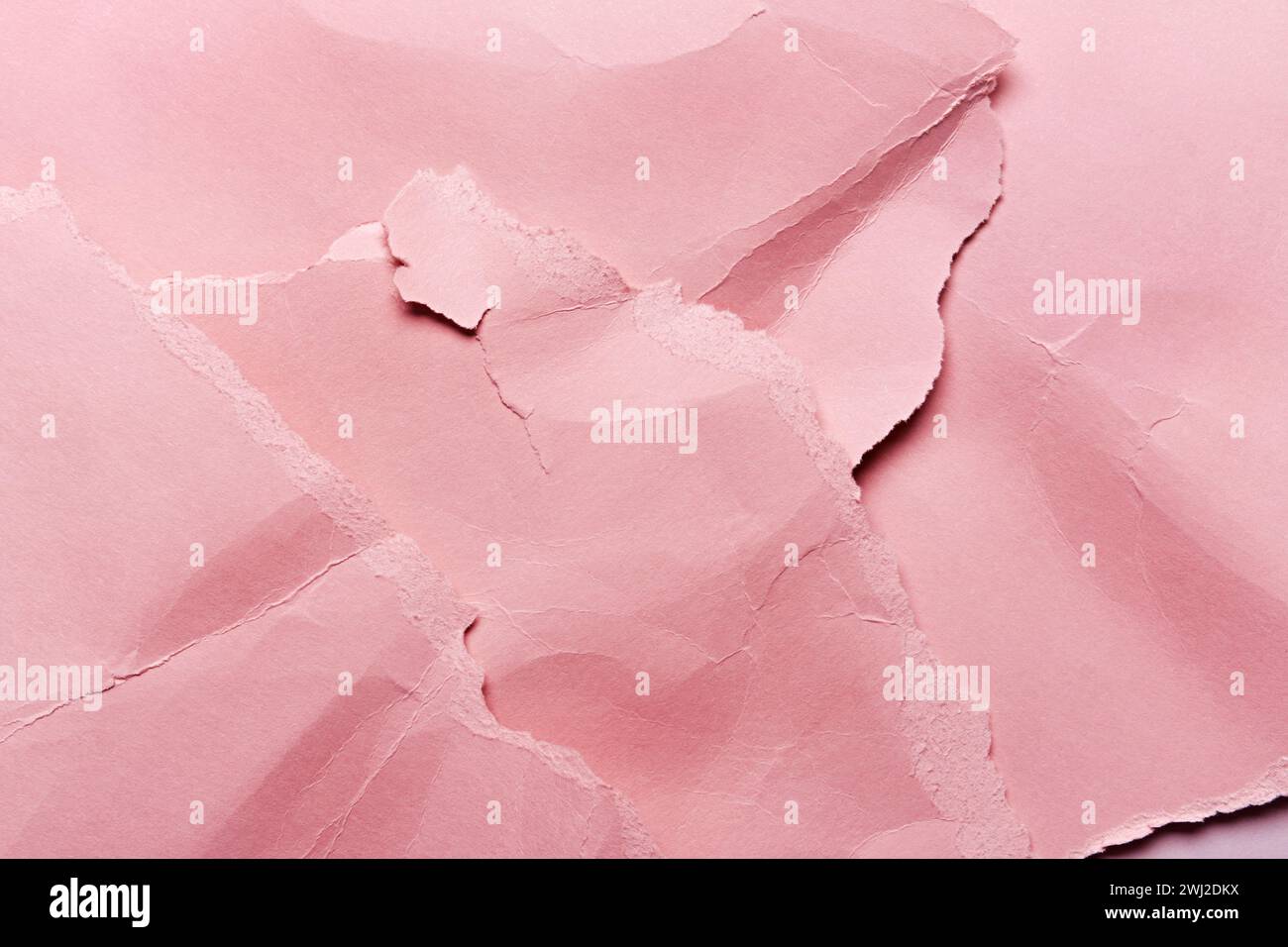 Crumpled and torn Pink paper texture background for design Stock Photo ...