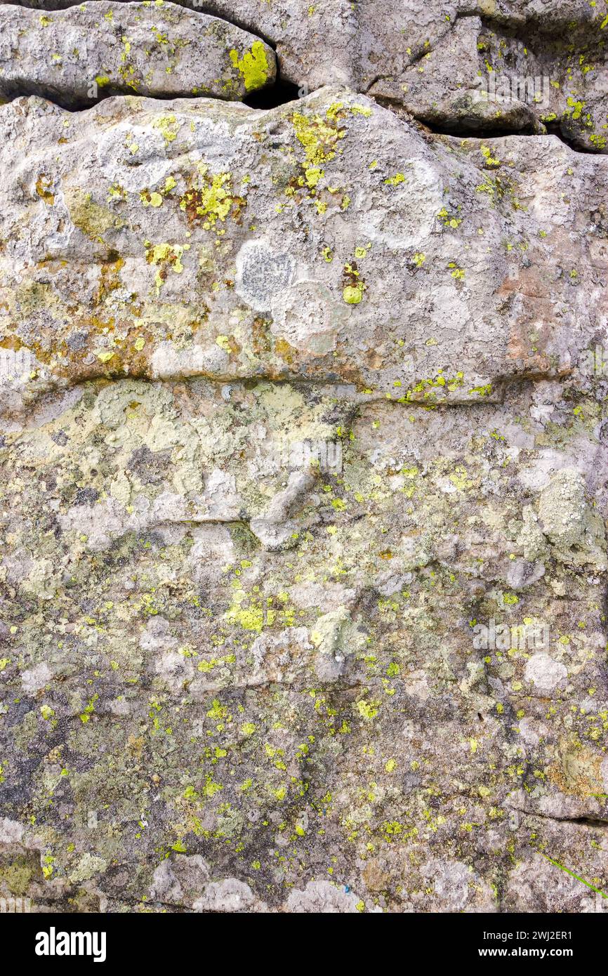 grungy texture of a grey stone with moss and caracks Stock Photo